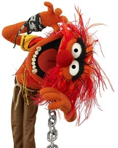 Animal_(Muppet)